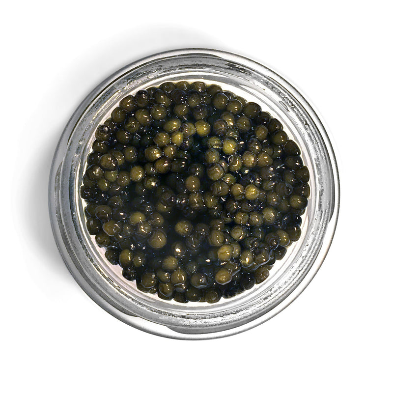 sturgeon caviar