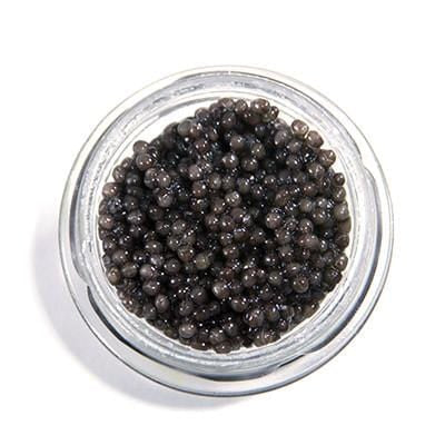 osetra caviar