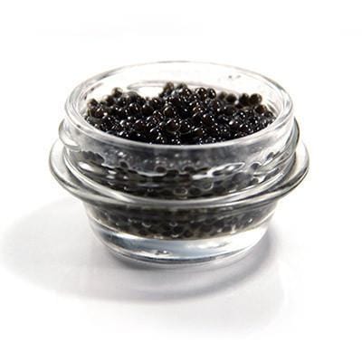 sturgeon caviar